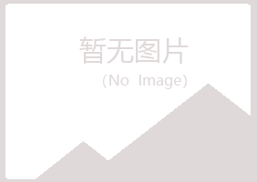 广灵县山柳工程有限公司